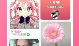 阿姨最新爆料小说下载,最新爆款小说下载全攻略