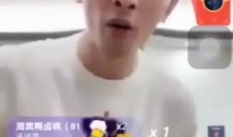 辛巴爆料金星了吗视频,视频曝光惊人真相